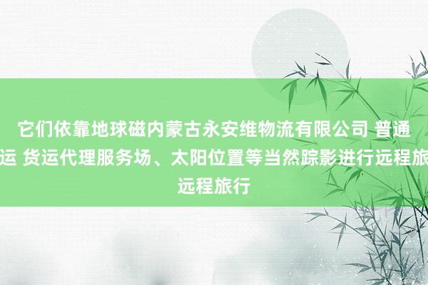 它们依靠地球磁内蒙古永安维物流有限公司 普通货运 货运代理服务场、太阳位置等当然踪影进行远程旅行