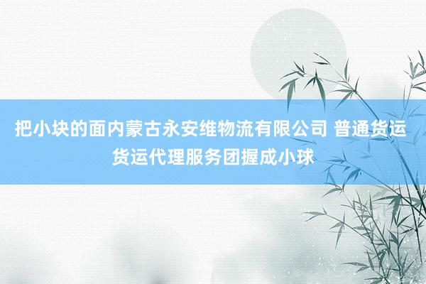 把小块的面内蒙古永安维物流有限公司 普通货运 货运代理服务团握成小球